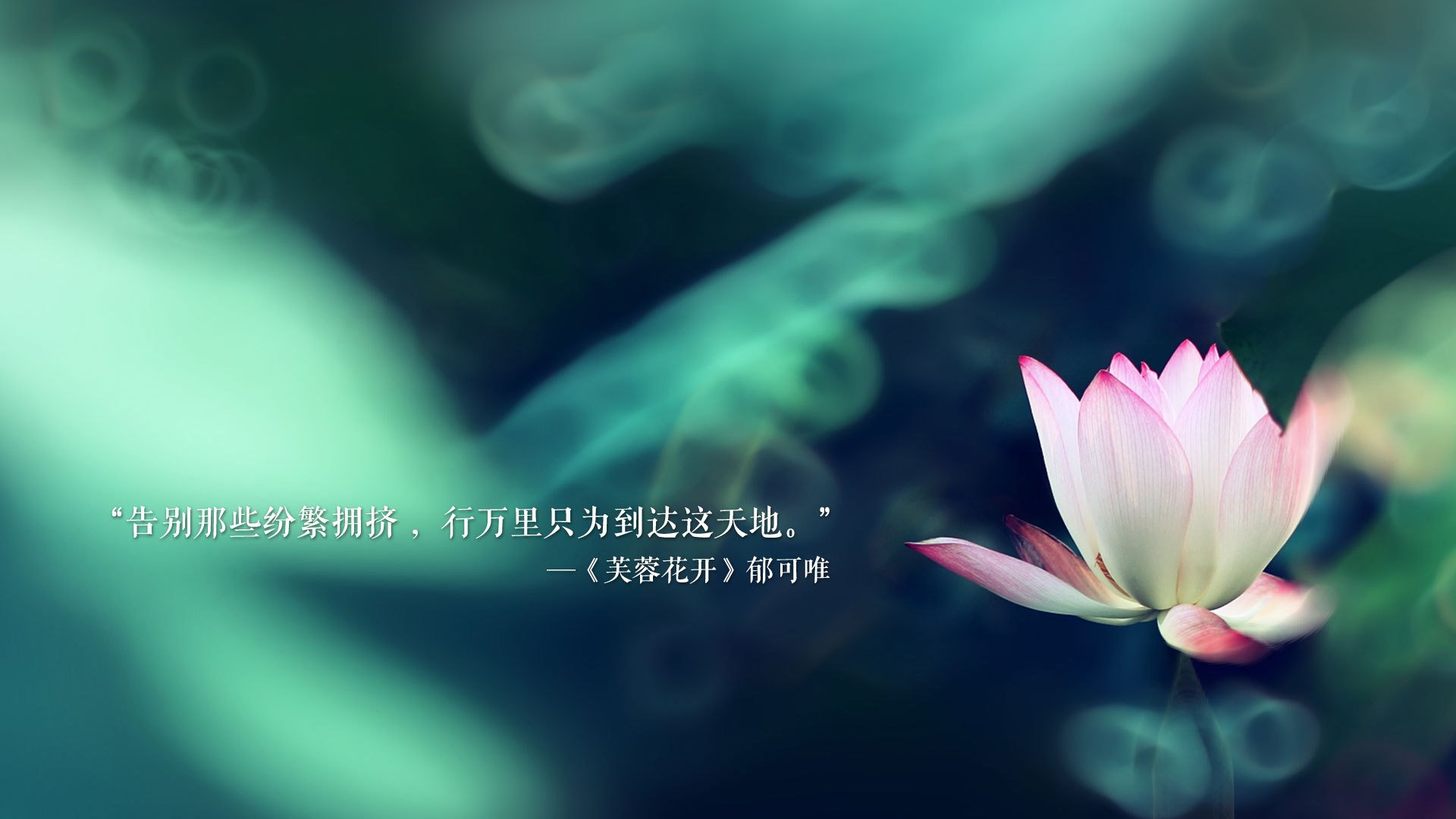 华体会体育-2026世界杯F组血色黄昏，智利碾碎星条旗，托纳利压哨绝杀书写新王序章  第2张